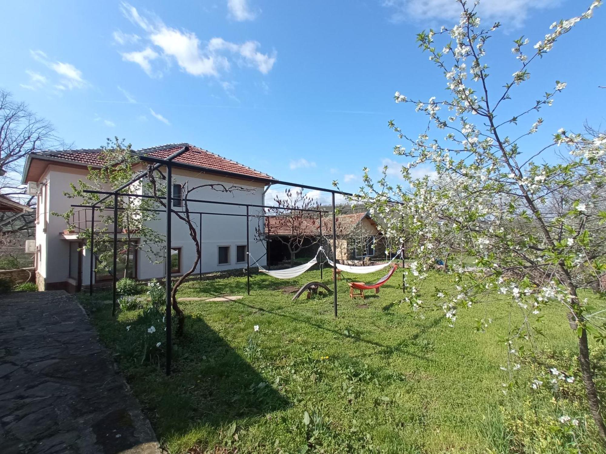 Guest House Art Eco Land Ganchovets Bagian luar foto