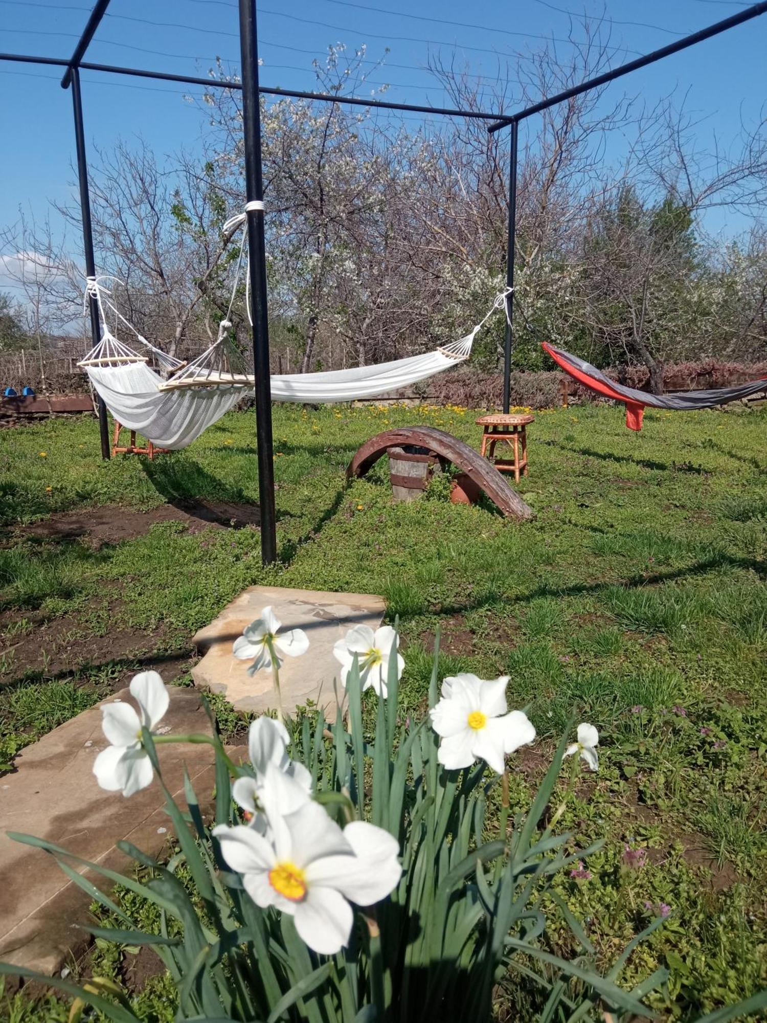 Guest House Art Eco Land Ganchovets Bagian luar foto