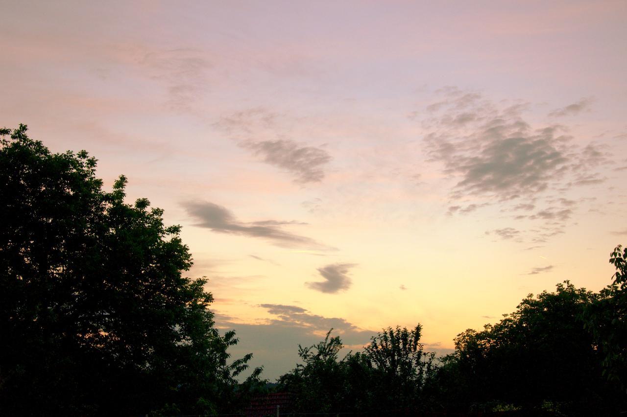 Guest House Art Eco Land Ganchovets Bagian luar foto